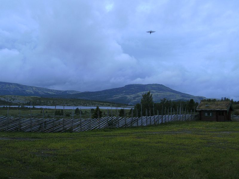 Nordkap 2009 567.jpg